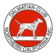 Dalmatian Club of Northern California